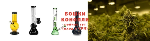 каннабис Инта