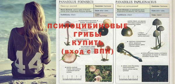 бутират Инсар