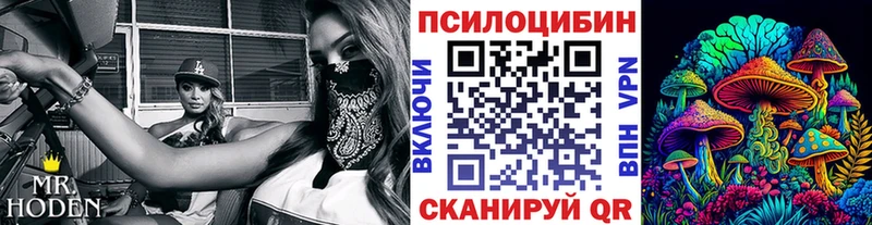 Псилоцибиновые грибы Psilocybine cubensis  Купить где  Майский 